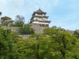 “井戸の幽霊”と“石垣の人柱伝説” 名城「丸亀城」にまつわる怪談