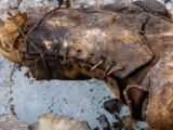 エベレストで発見された“人間の足”が世紀の謎を解く!?初登頂の記録は塗り替えられるのか