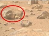 火星で“奇妙な頭蓋骨”のような物体が撮影されていた!?その正体とは・・・