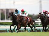 あの最強馬も完敗!JRA天皇賞・秋と衆議院選挙の意外な関係。波乱の歴史は今年も?武豊ドウデュース&川田リバティアイランド不安で特大万馬券狙いのお薦め3頭!