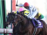 衝撃の2分で240億円!超豪華メンバーのビッグレース天皇賞・秋を制するのはどの馬か?レジェンド武豊外しで一獲千金狙い?それとも…