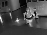 ロボットが12台のロボットを「誘拐」？ショールームで起きた奇妙な事件の動画が話題＝上海