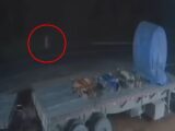 奇妙な白い影に吠え続ける犬、伝説の“ラ・ヨローナ”か!?防犯カメラの映像が話題=メキシコ