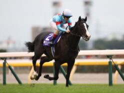 秋の臨時ボーナスはコレで決定！今年は荒れる！波乱必至のジャパンカップ、狙って獲る一攫千金レース！