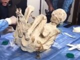 新たに“宇宙人ミイラ”2体を発見!? 1人は胸に刺し傷、1人には髪の毛が・・・