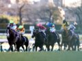 “年末ジャンボVS有馬記念”本当の勝ち組が勝負するのは…。2024年を締めくくる一攫千金はコレしかない！