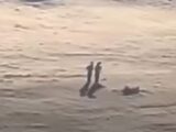 「雲の上に立つ人影」動画が話題に!その正体とは…?