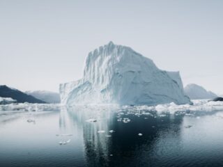 「氷山の女王」世界最大の氷山A23a、南大西洋の孤島に接近…生態系に危機？専門家が警鐘