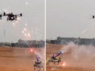 ロボット犬 vs ドローン、花火合戦が未来の戦争を予見？ スカイネットは現実になるのか