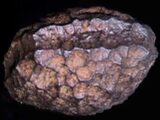 【オーパーツ?】2000万年前の人工物!?「ヴォルフスエックの鉄塊」の謎