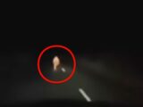 子どもの幽霊か、犯罪の罠か、深夜3時の道路に現れた謎の存在にトラック運転手が遭遇！