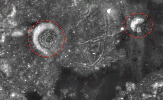 月面に「異星人の都市」！？ UFO研究家が発見と主張の画像1