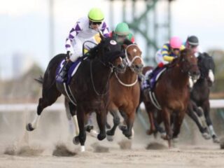 「もう戻れない…」競馬の勝ち組が参考にする唯一無二の馬券術！砂の王者決定戦フェブラリーSに出走する超激穴馬とは？