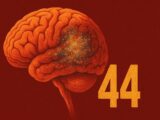 脳の老化は44歳から急加速? 脳の老化を遅らせるカギとは