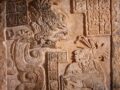 レプティリアンは実在するのか？古代から語り継がれる“爬虫類人”伝説