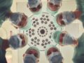 死亡リスクが高い“手術を避けるべき曜日”とは！？科学者が指摘する「週末効果」