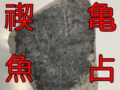 【続報】和歌山で発見の“謎の石板”は甲骨文字か！？「禊」「亀」「魚」「占」の文字が浮上、神事との関係も？