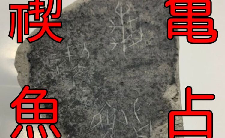 TOCANA/トカナ｜UFO、UMA、心霊、予言など好奇心を刺激するオカルト