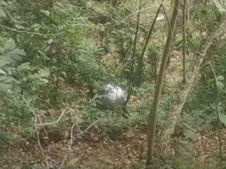 コロンビアで発見された金属製の謎の球体UFO、巧妙なマーケティング説浮上か？