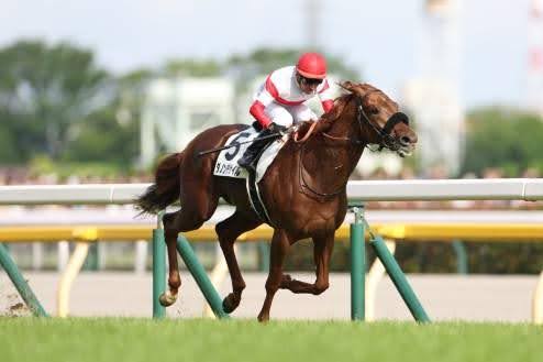 20万人が来場、まさかの武豊9連敗、どよめきの285万馬券。衝撃の日本ダービー伝説の画像1