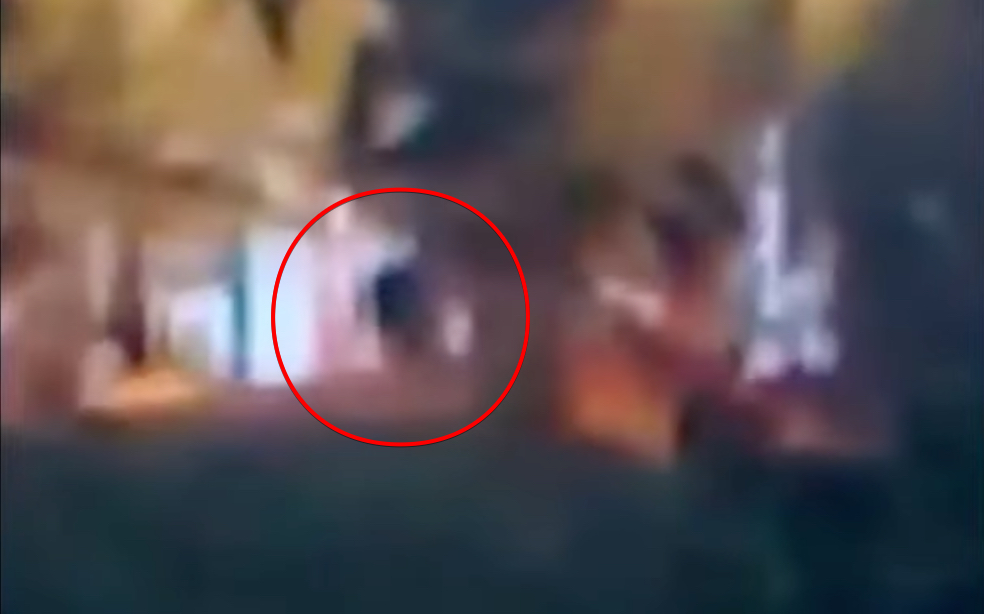 まさか本物!? キャンパーが捉えた衝撃映像、“ビッグフットが驚異の木登り”を披露か?の画像1