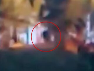 まさか本物！？ キャンパーが捉えた衝撃映像、“ビッグフットが驚異の木登り”を披露か？