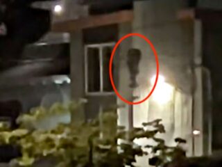 窓を覗き込む“浮遊エイリアン”が住宅街に出現！？ロサンゼルスで撮影された謎の飛行体とは