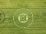 UFOの聖地に再び“謎の紋章”出現！ストーンヘンジ近郊、ミステリーサークルの“ケルト暗号”は何を語る？