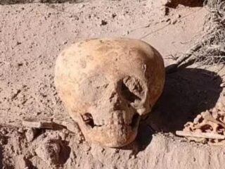 「異形の頭蓋骨」に考古学会騒然！エイリアンか、古代の奇形か… その正体とは