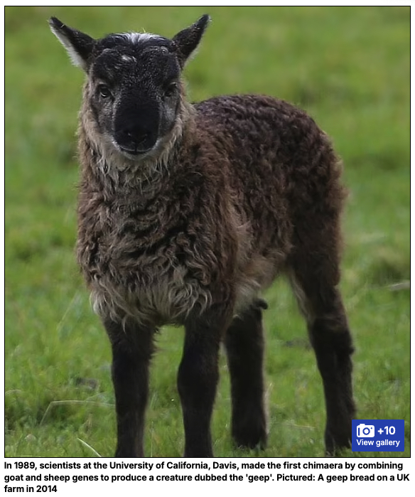 遺伝子編集が暴走したら… 専門家が警告する「キメラ動物」と「超人」誕生の画像2