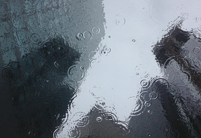 雨が降る前の“あの匂い”、あなたも感じる?その正体「ペトリコール」とはの画像2