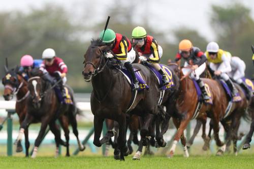 人生の勝ち組になれ!日本ダービーで波乱を起こす意外な“穴馬”を完全公開!の画像1