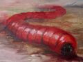 ゴビ砂漠に潜む“モンゴリアンデスワーム”の正体とは？ 触れると即死、電気ショック… 伝説の怪物『オルゴイ・コルコイ』100年の謎