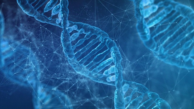神の領域か、禁断の扉か… 人工ヒトDNA“合成”プロジェクト、ついに始動の画像2