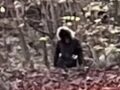 英国の森に「身長2.4mの狼男」が出現か！？専門家が捉えた戦慄の写真と不気味な警告
