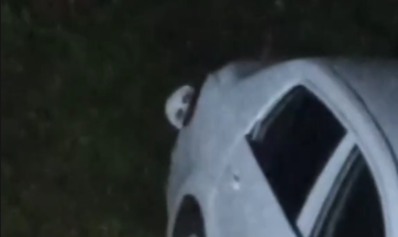本物か、巧妙なフェイクか、 車の陰から現れた「人ならざるモノ」の頭部… エイリアン?スキンウォーカー?の画像1