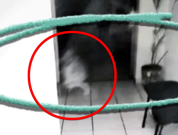 ドアの向こうにいた「何か」を捉えた戦慄の映像！床に点々と続く“小さな足跡”… 子どもの幽霊かの画像1