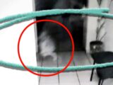 ドアの向こうにいた「何か」を捉えた戦慄の映像!床に点々と続く“小さな足跡”… 子どもの幽霊か
