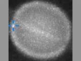 謎の物体が土星に激突か!?天文学者たちが画像提供を緊急要請