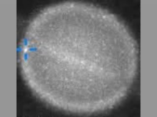 謎の物体が土星に激突か！？天文学者たちが画像提供を緊急要請