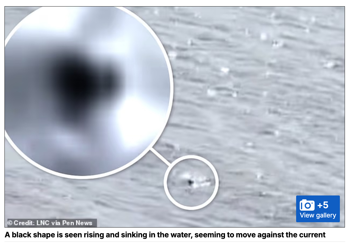 ネッシーの「頭」か!? 湖から出たり沈んだりする衝撃映像が撮影されるの画像2