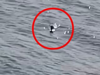 ネッシーの「頭」か！？ 湖から出たり沈んだりする衝撃映像が撮影される