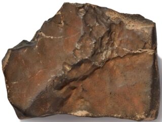 最高落札額は6億円！？「史上最大の火星隕石」世界が固唾をのむ歴史的オークションが始まる…！