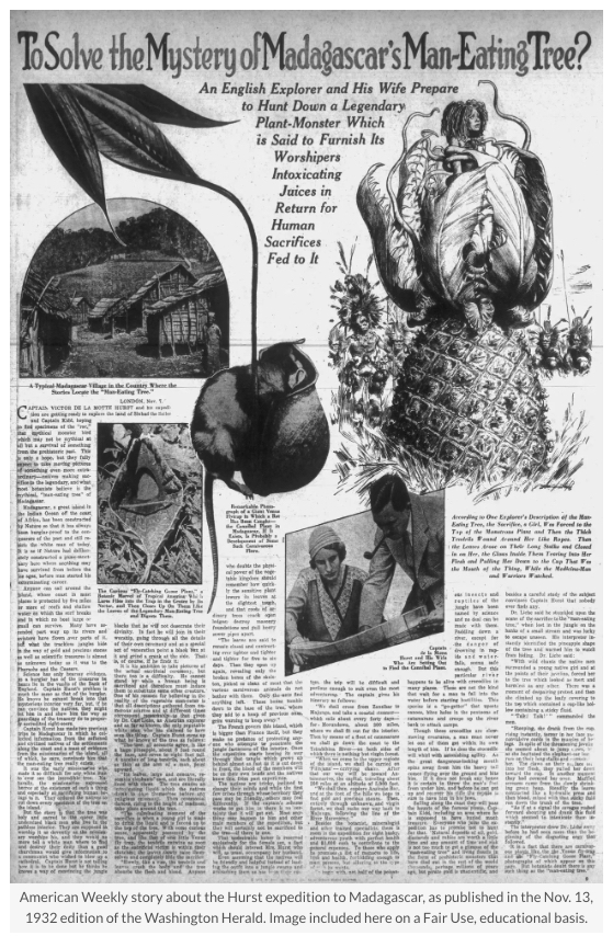 150年続く「人食いの木」伝説。鍵を握る“失われた写真”と、マダガスカルの毒木「クマンガ」が示す真実の画像3