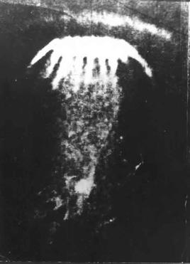 空から無数の光線を放つ“巨大クラゲ”出現!40年以上原因不明、ソ連の空に現れた謎の発光体「ペトロザヴォーツク現象」とはの画像1