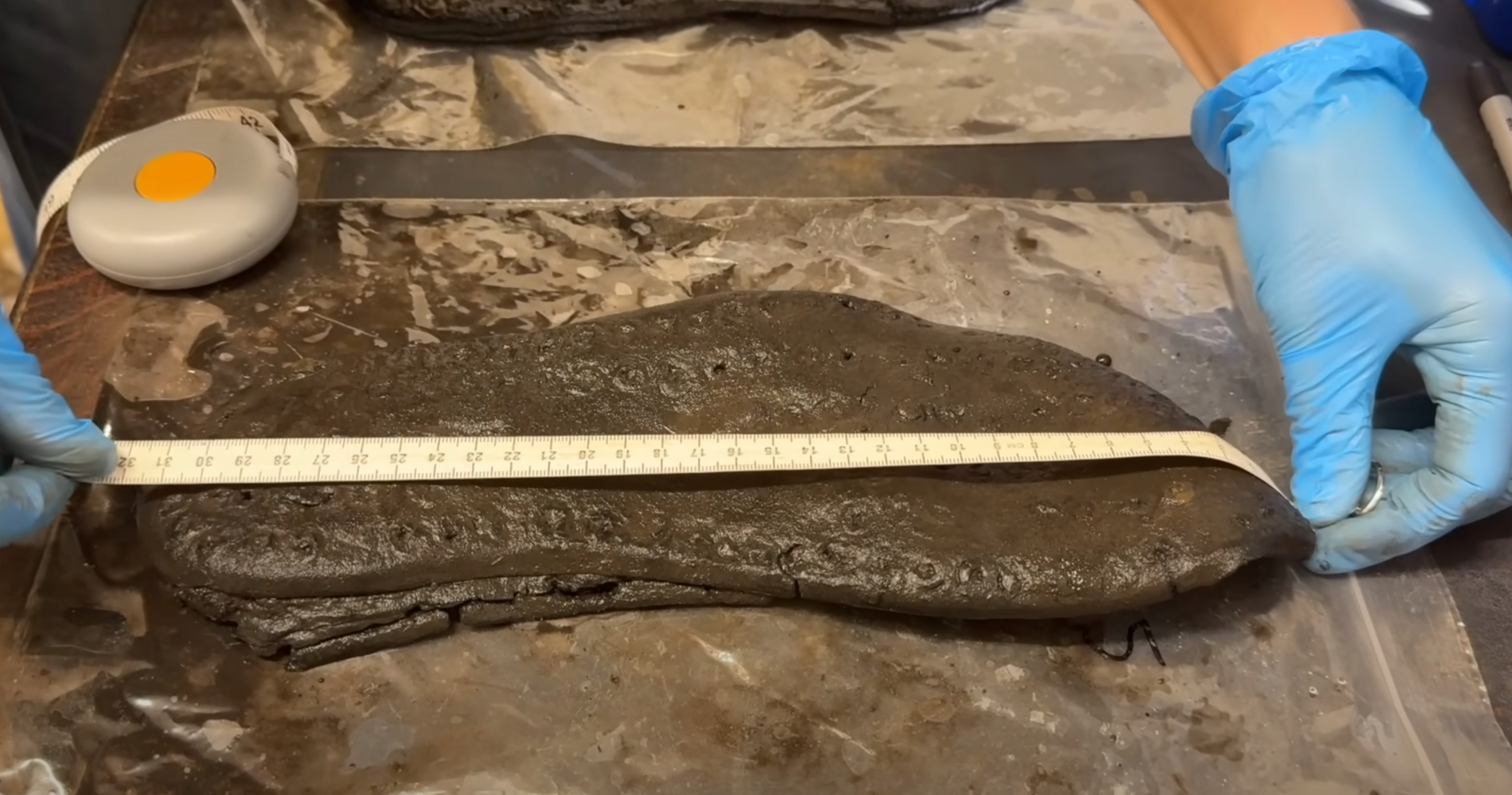 古代ローマの砦を守っていたのは“巨人兵”だったのか。2000年前の遺跡から発掘された「異様に大きい靴」に考古学者が困惑の画像2