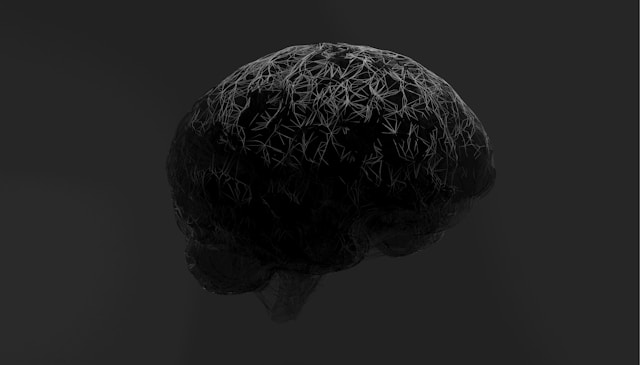 死の瞬間、私たちの脳は何を見ているのか?科学が解き明かした“脳が見せる最後の光景”の画像2