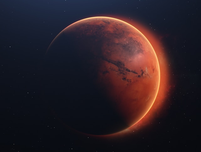 最高落札額は6億円!?「史上最大の火星隕石」世界が固唾をのむ歴史的オークションが始まる…!の画像3
