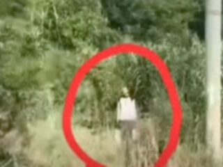 【動画】線路脇に立つ“謎の人影”が不気味すぎると話題に… 列車カメラが心霊現象を捉えた？