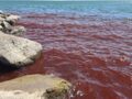 「不吉な前兆か」奇跡の湖“ガリラヤ湖”が不気味な真紅に… 聖書の“終末預言”が現実となるのか